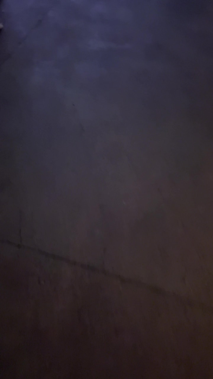 Video review of World of Disney