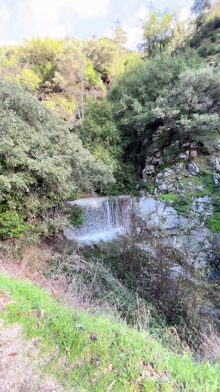 Video review of Mary's Market