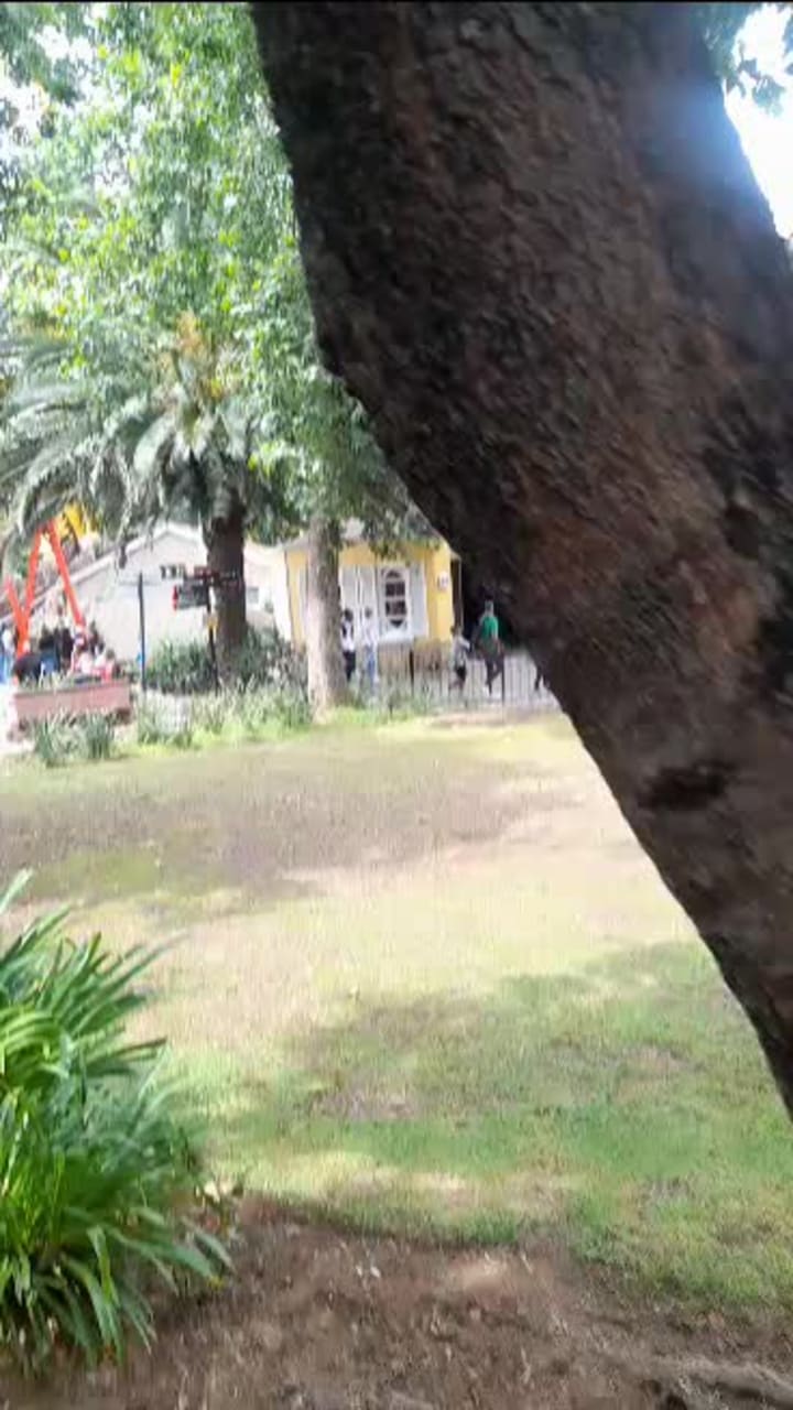 Gold Reef City Casino and Hotel