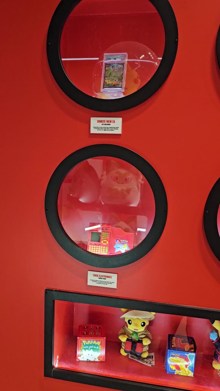 The Collector Vault by Eb Trends