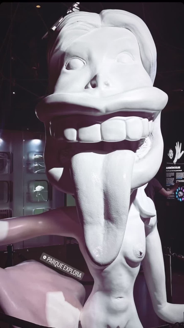 Video review of Parque Explora