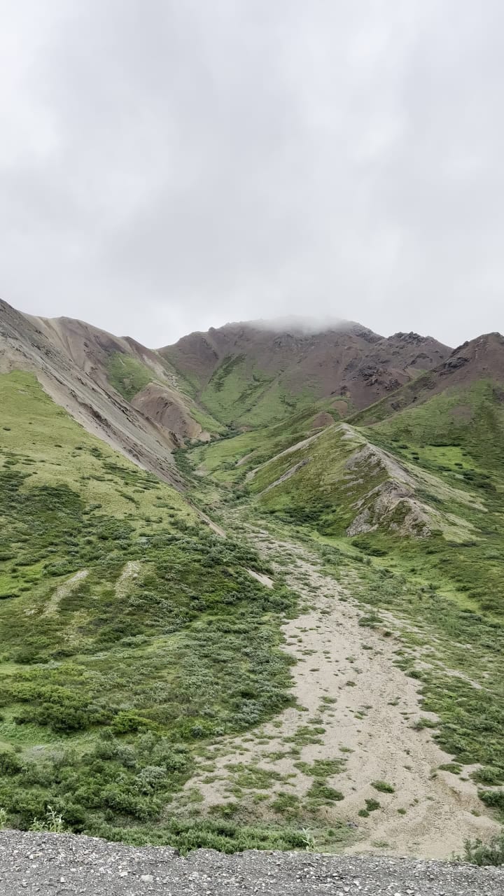 Denali National Park & Preserve