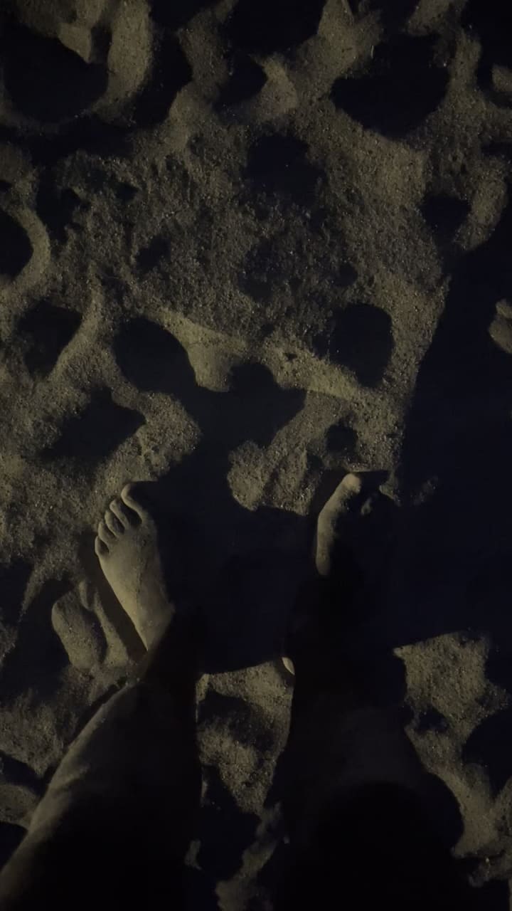 AdTraction at 31st Street Beach