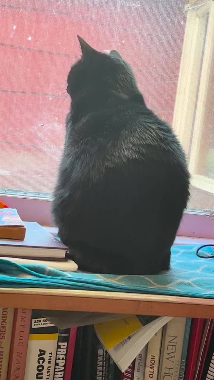 Company 1 Productions