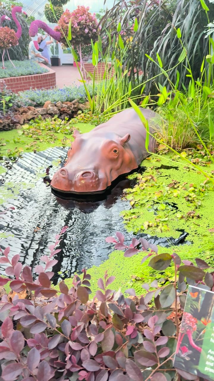 Video review of Cafe Phipps