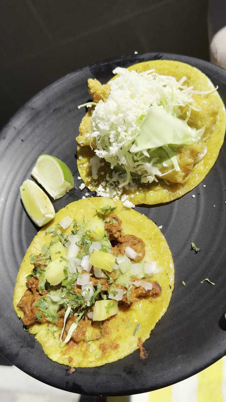 Video review of Lylo Swim Club