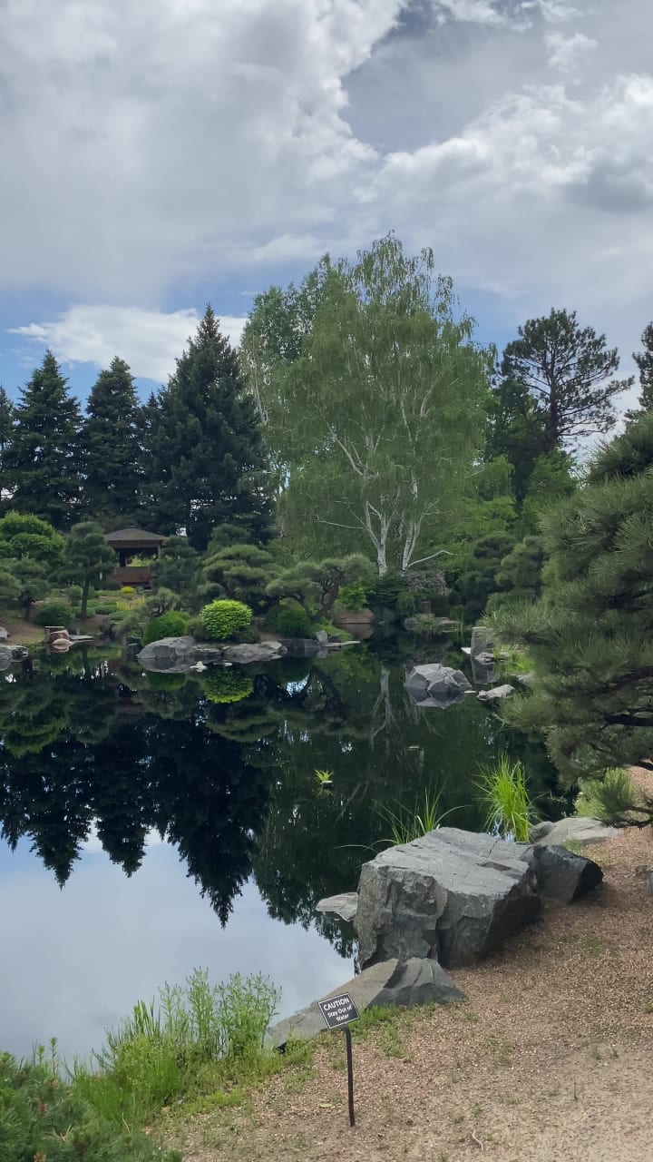 0,19 TOKYO SUNDUBU BAR