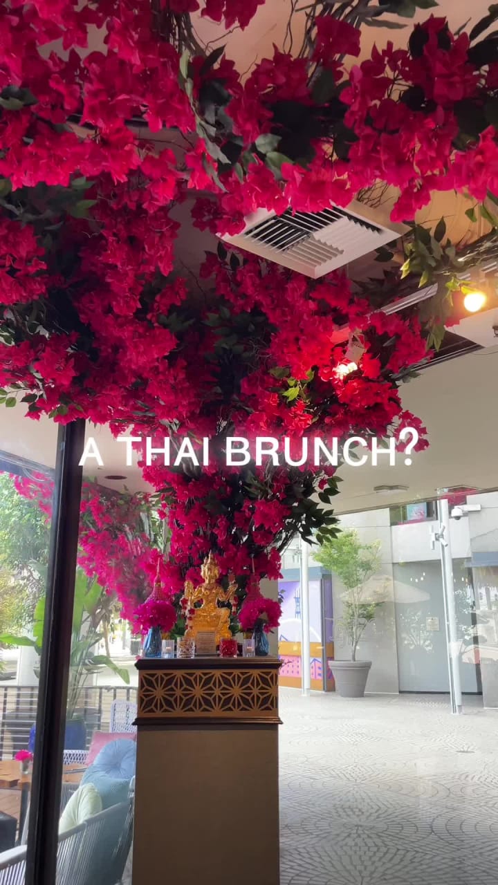 Video review of Osha Thai Restaurant & Lounge