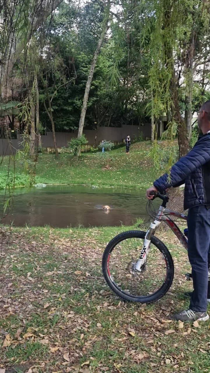 Video review of Parque del Chicó