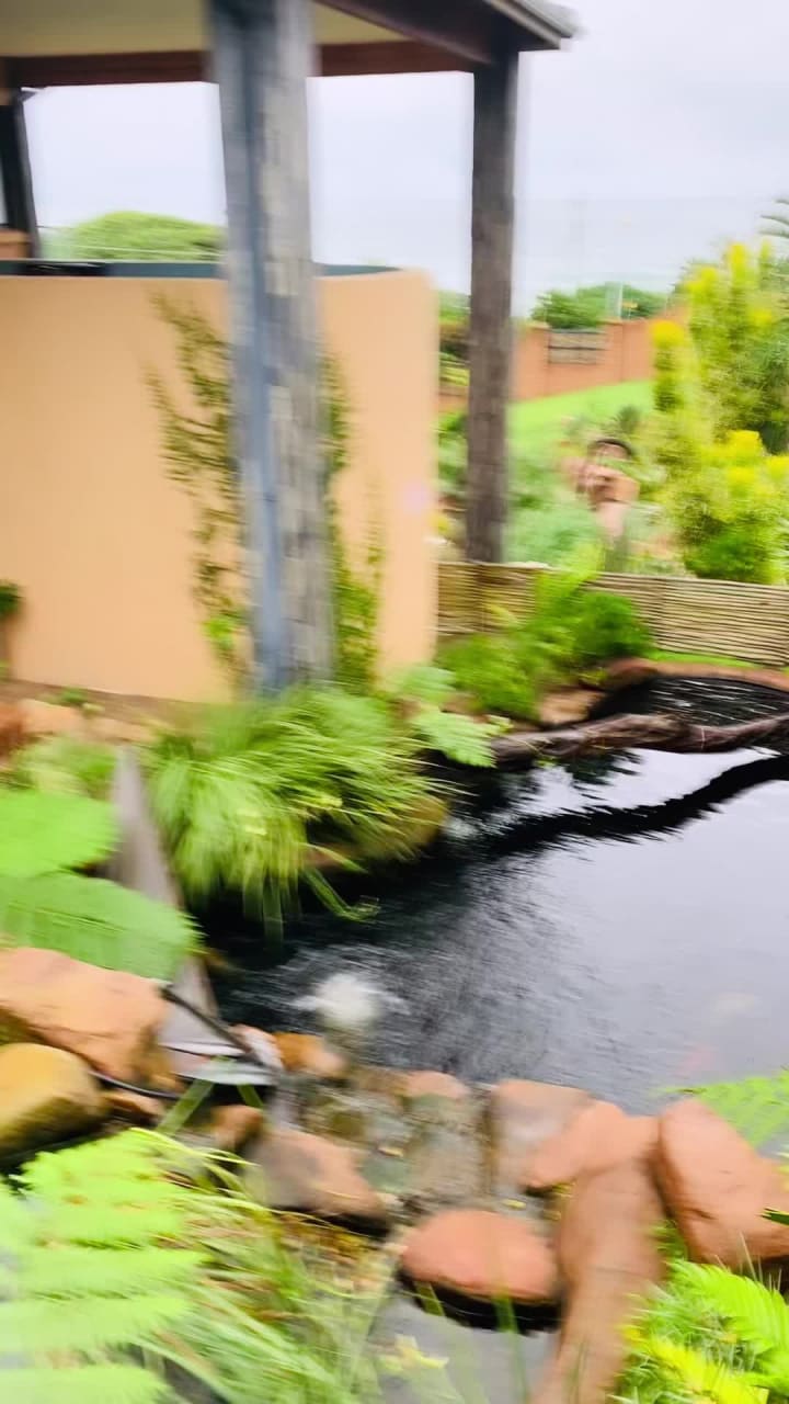 The lazy moose Restaurant & Lodge