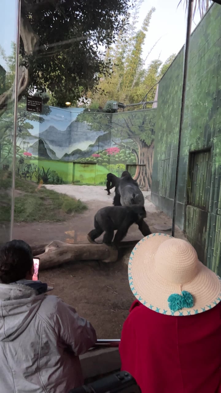 San Diego Zoo