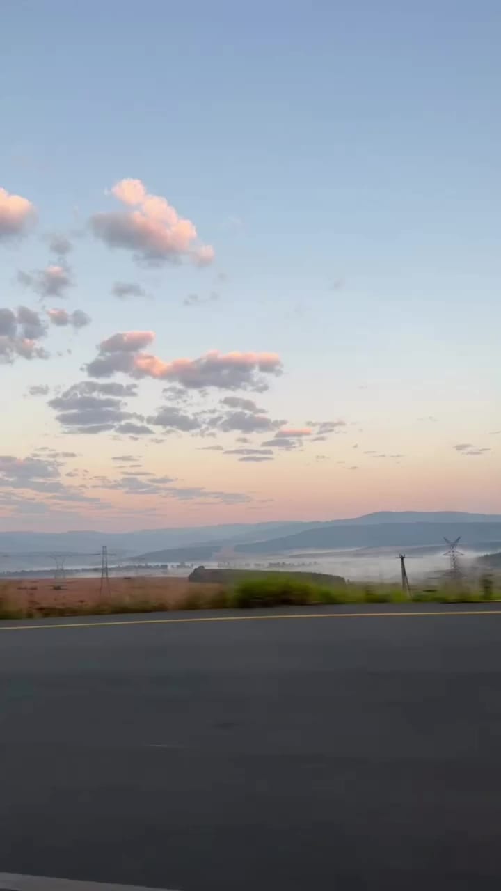 Haartebees North west province South African