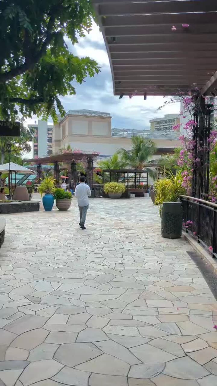 Video review of Stripsteak