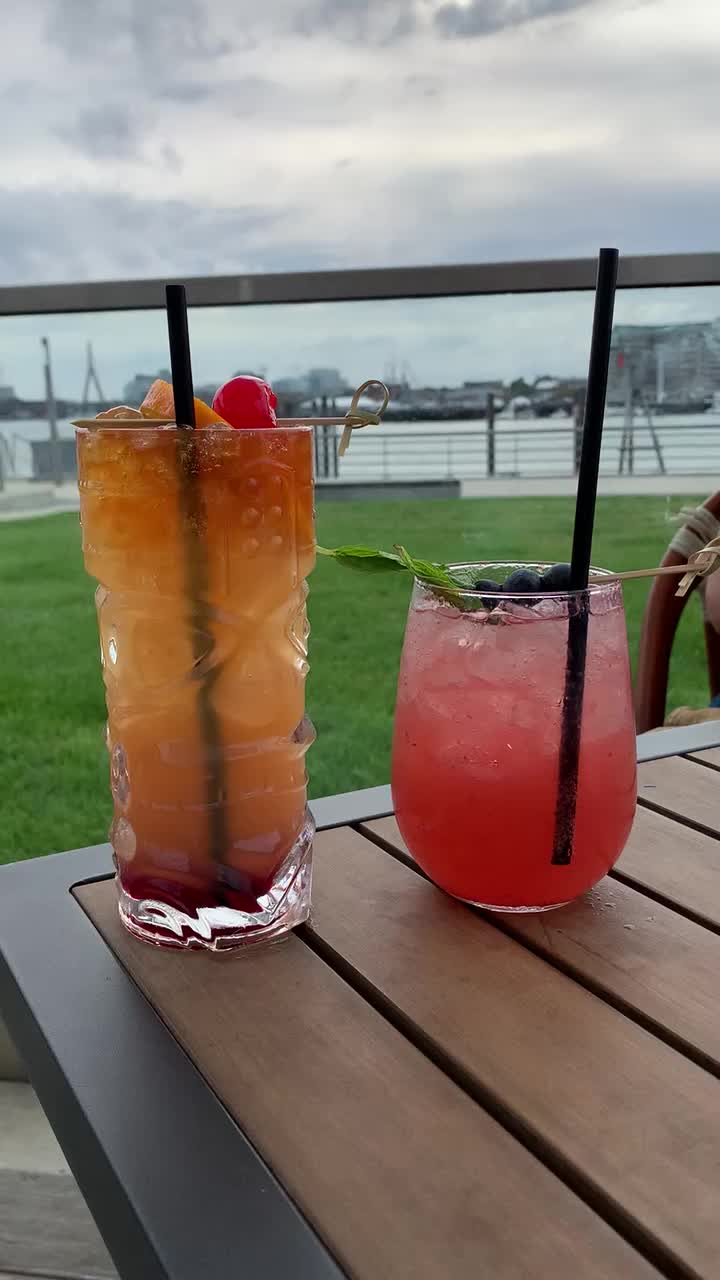 Video review of ReelHouse