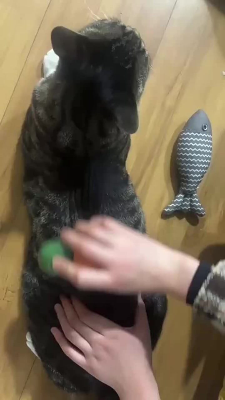 United States Botanic Garden