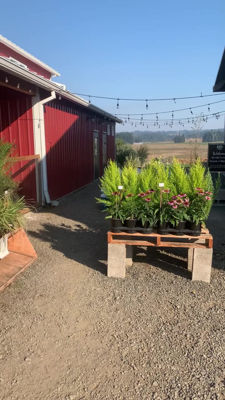 Helvetia Farm Market