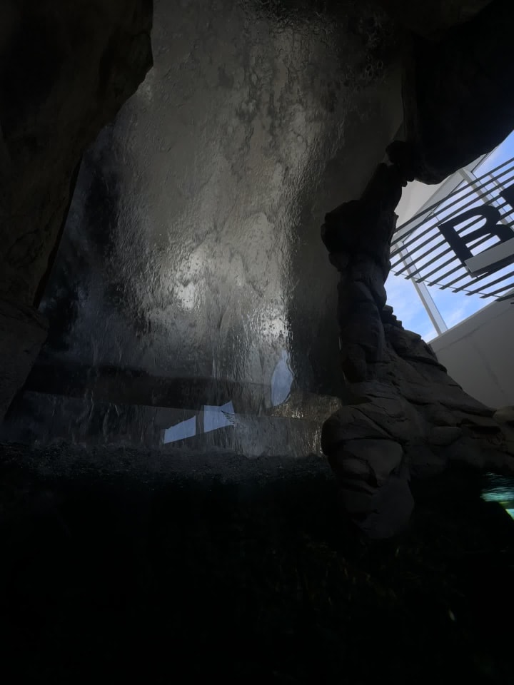 Video review of Discovery World