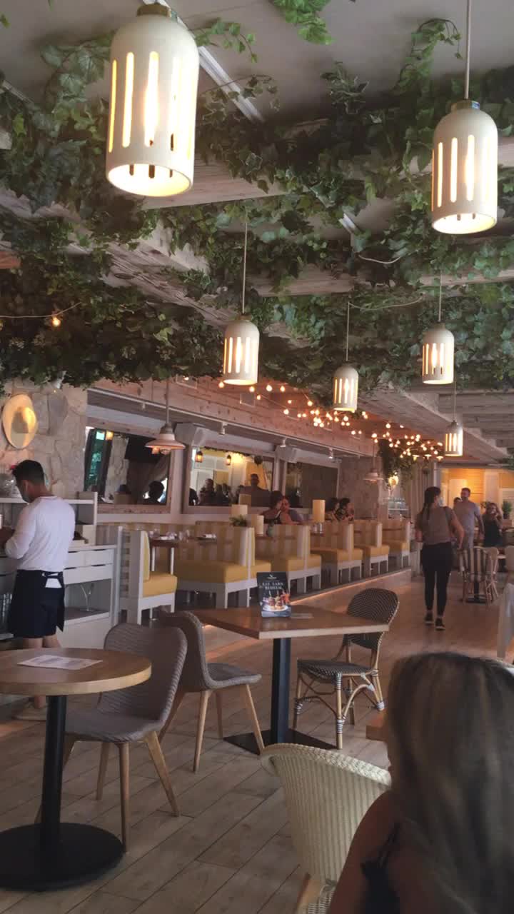 Video review of Pizzeria Portofino