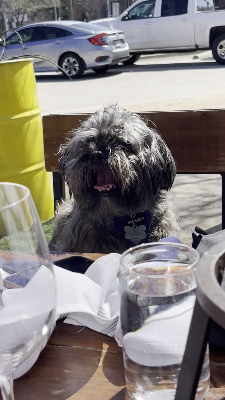 Pie Tap Pizza Workshop + Bar