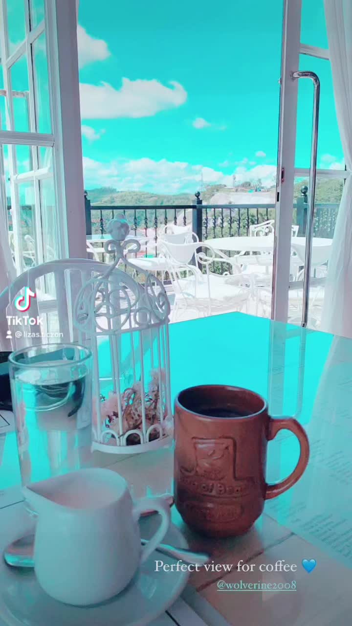 Video review of Bag of Beans