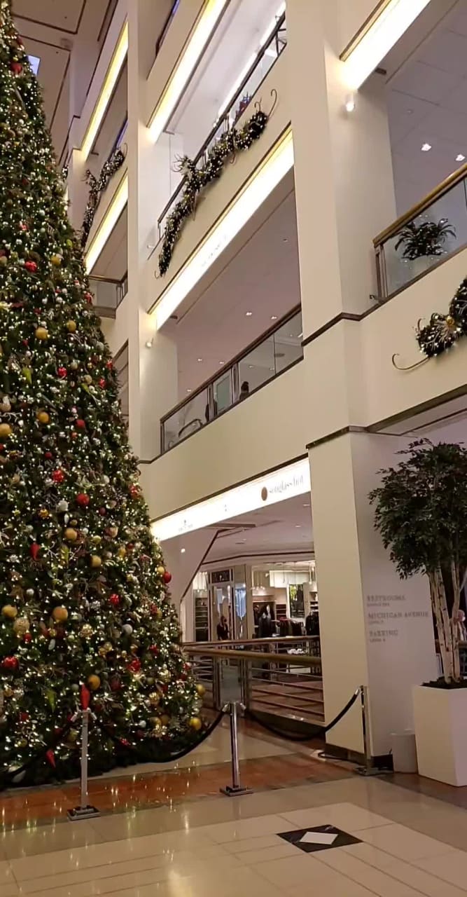 Video review of 900 North Michigan Shops