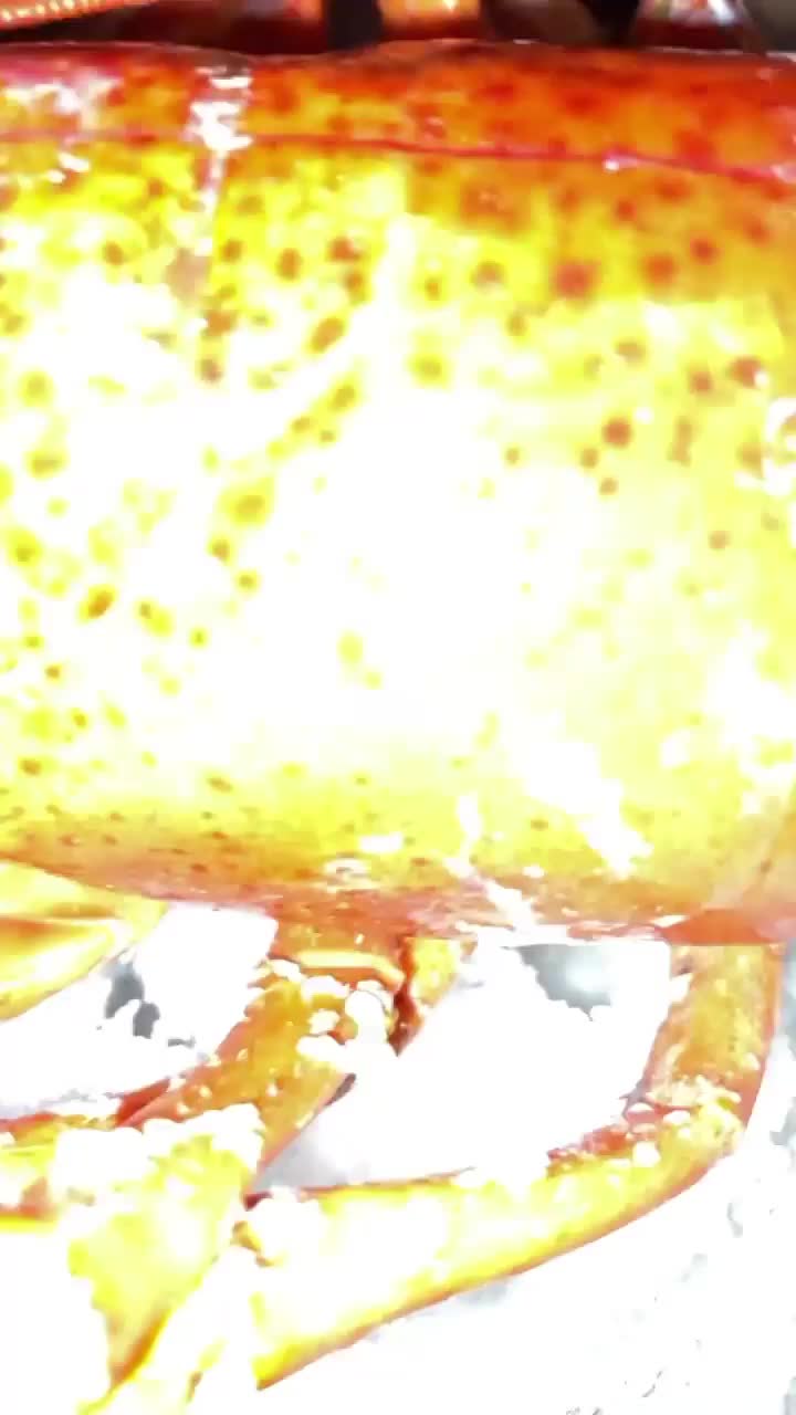 Video review of Pearlz Oyster Bar