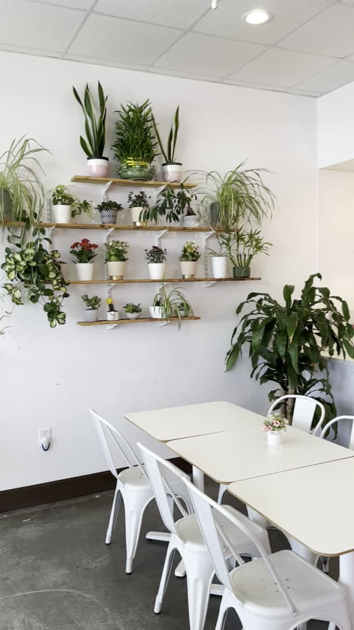 Video review of Square Root Poke