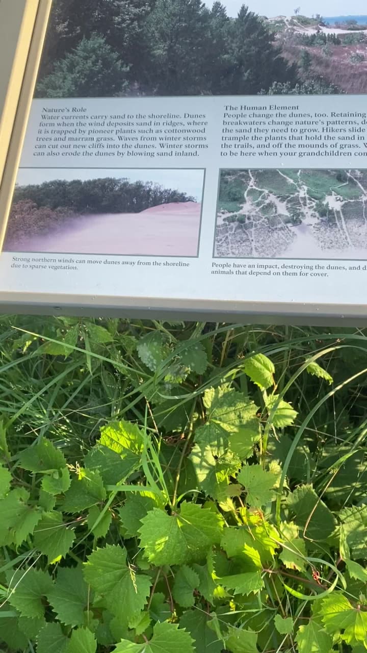 Indiana Dunes National Park