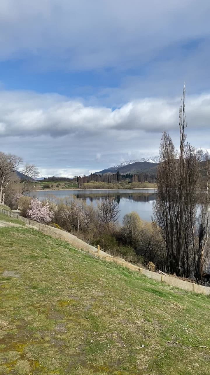 Lake Hayes Showground