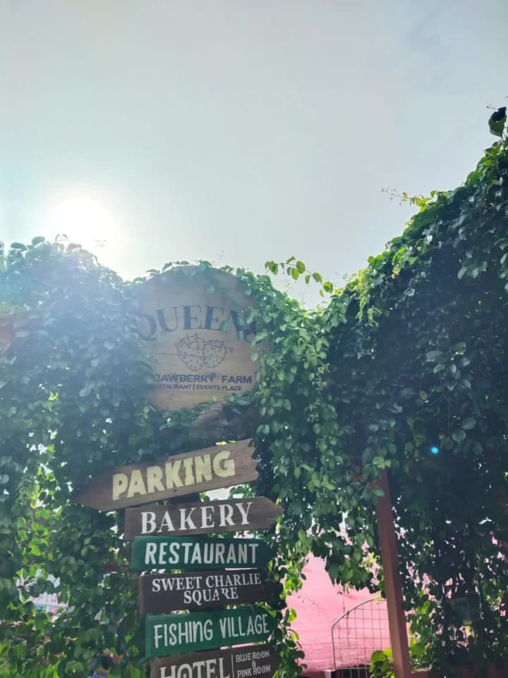 Queens Strawberry Farm