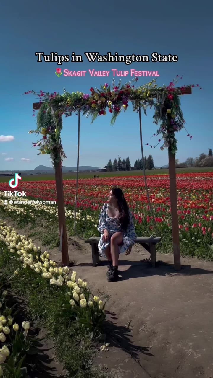 Video review of Tulip Town