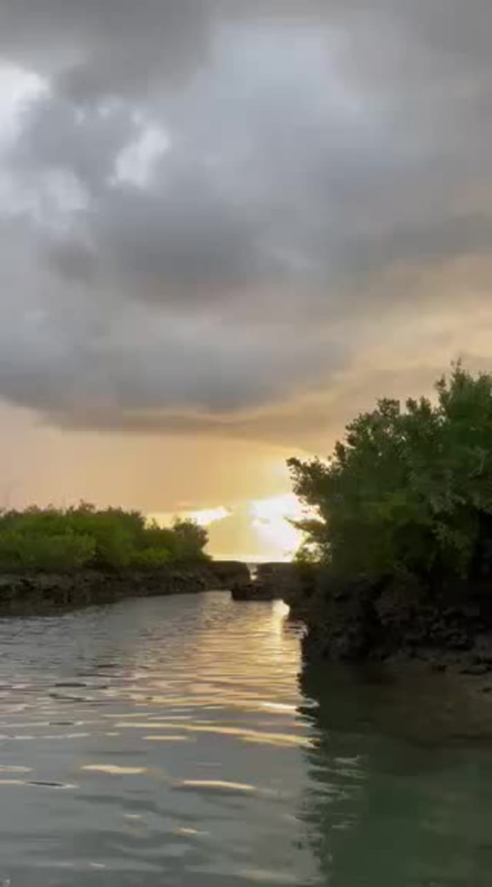 Vasquez Farms and Camping Grounds