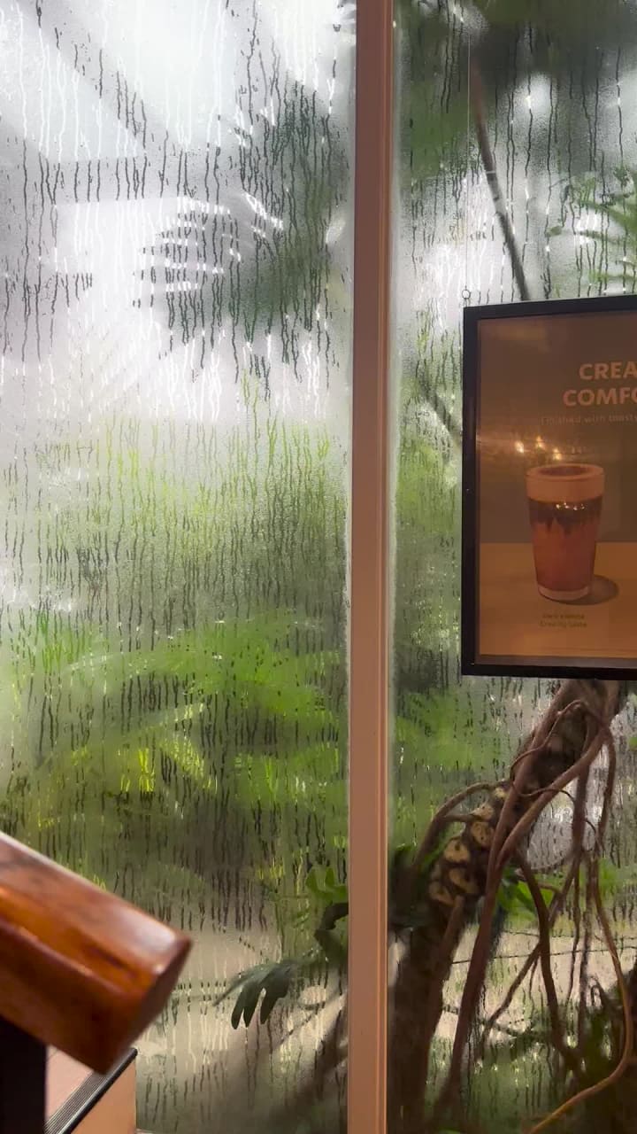 Video review of Starbucks