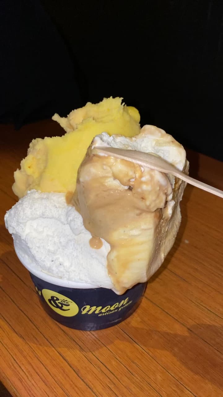 Video review of Cow & the Moon