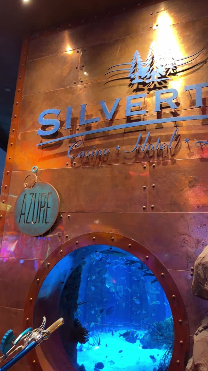 Video review of Silverton Casino Hotel