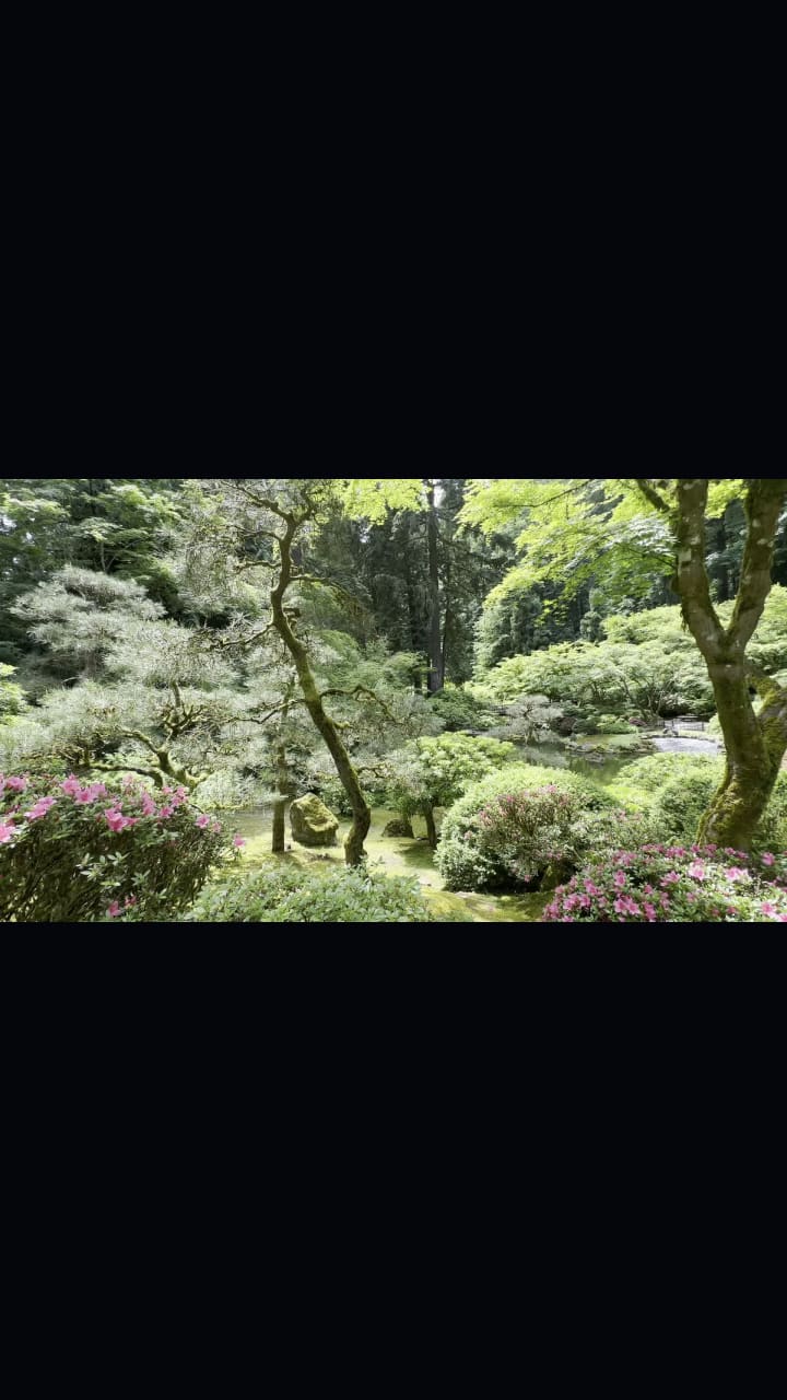 Video review of Portland Japanese Garden