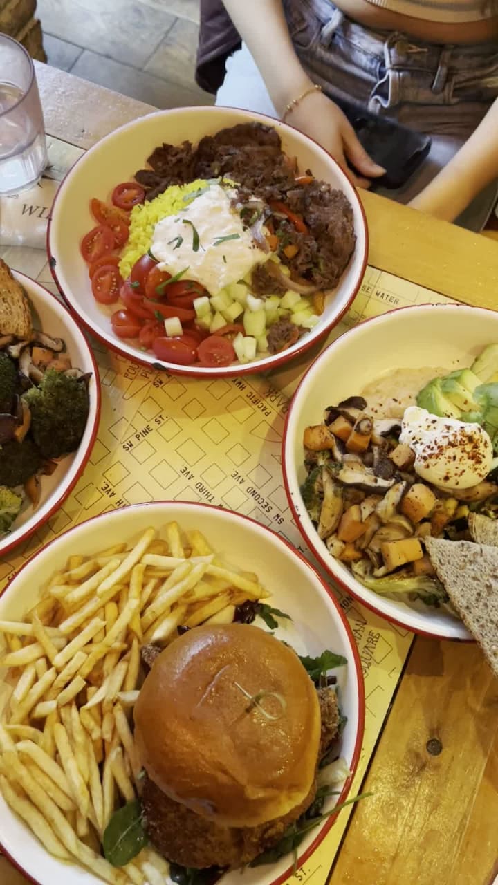 Video review of The Grey Dog