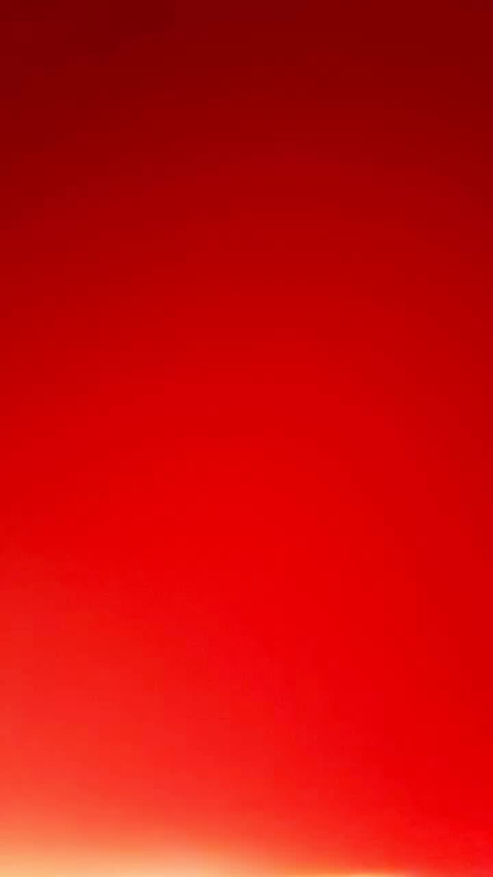 2d restaurant - Mochi Donuts and Fried Chicken