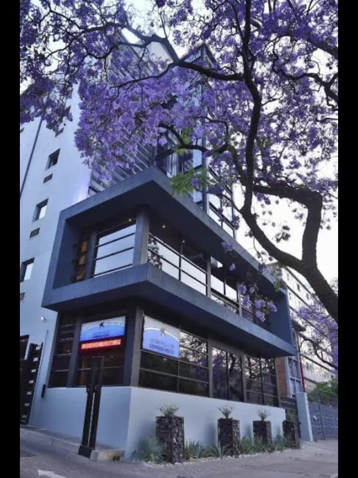 Morning Star Express Hotel