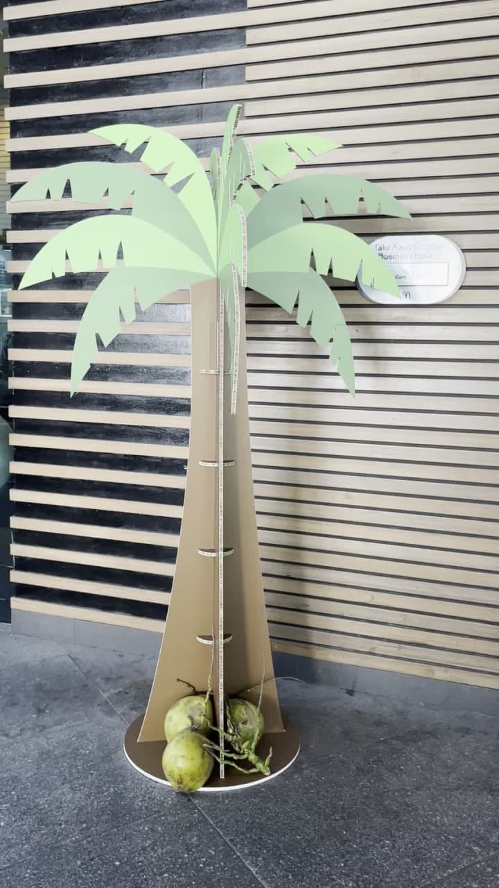 Video review of McDonald's