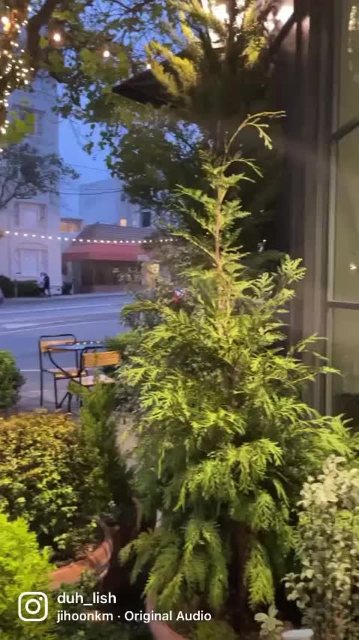 Video review of Little Original Joe's