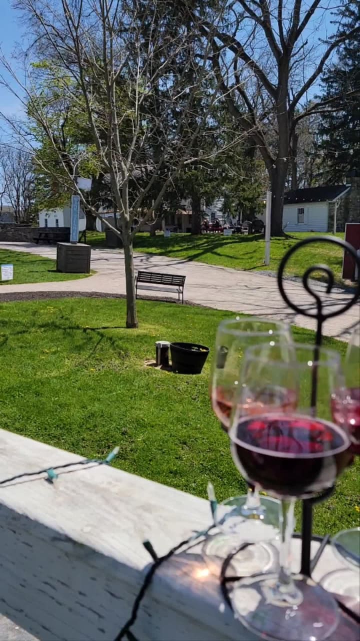 Spring Gate Vineyard