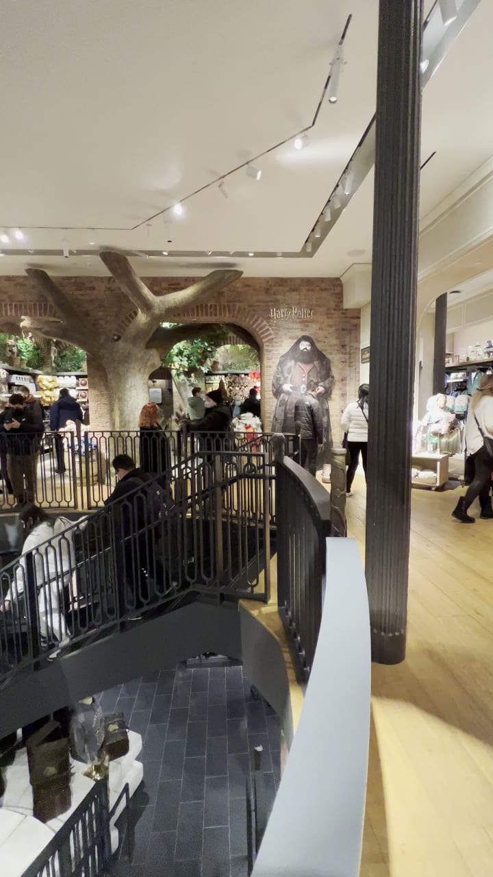 Harry Potter New York