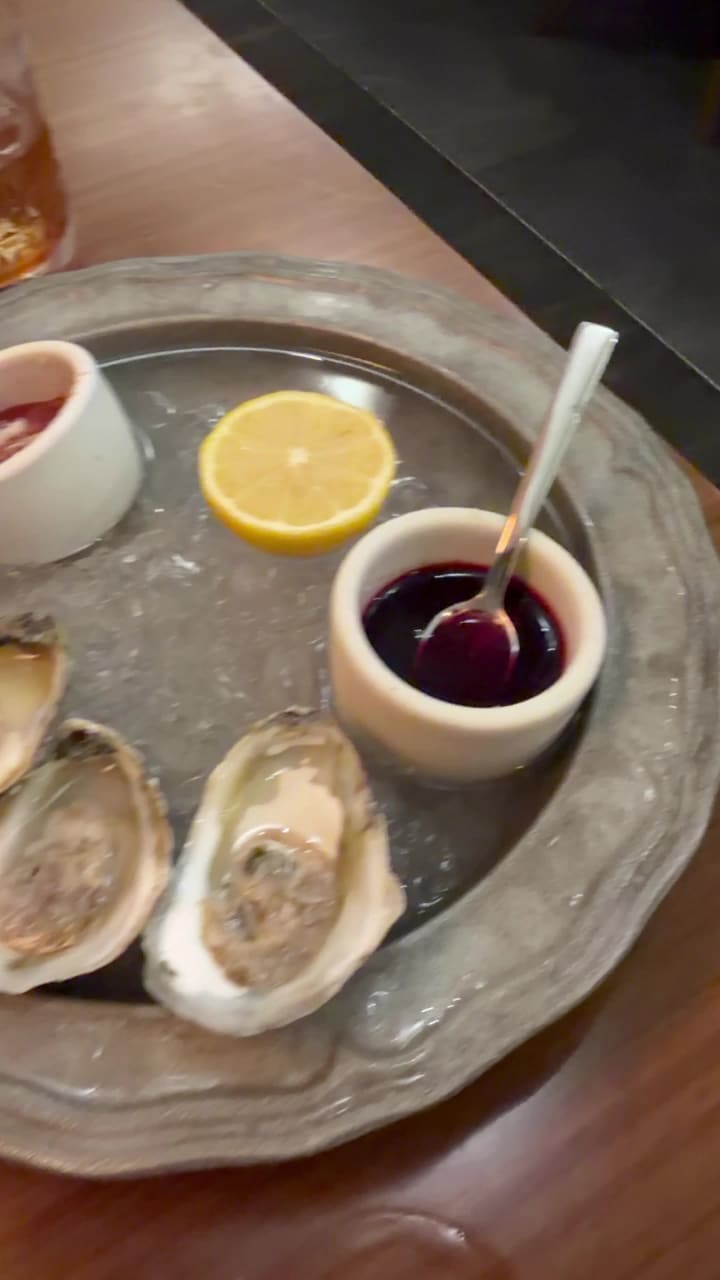 Video review of Oystercatchers