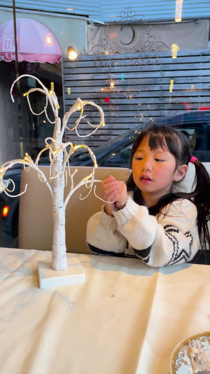 Video review of Caffe Concerto