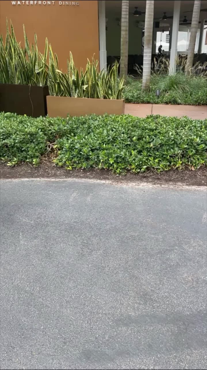 Video review of Boathouse at the Riverside