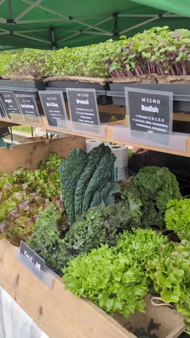 Video review of Kitsilano Farmers Market