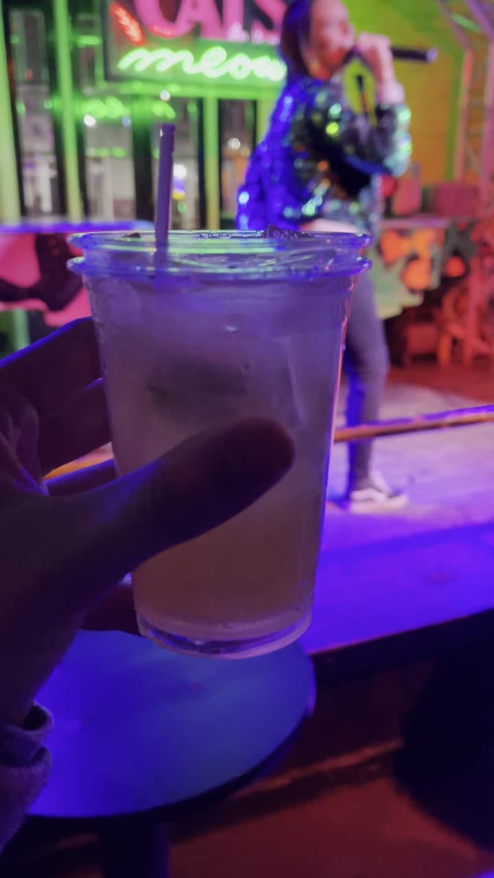 Video review of Cat's Meow