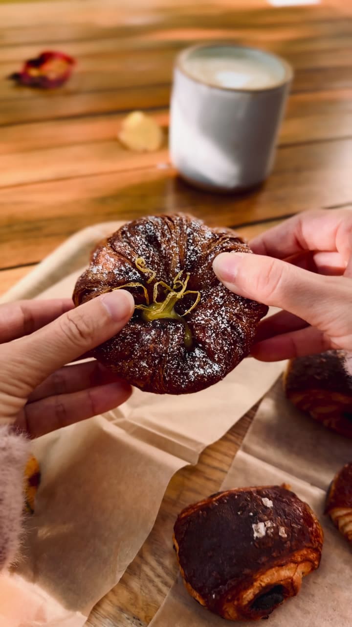 Video review of Backhaus