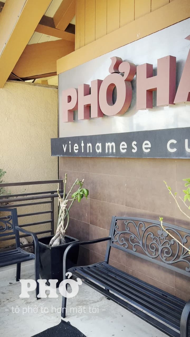 Phó Hà Plus